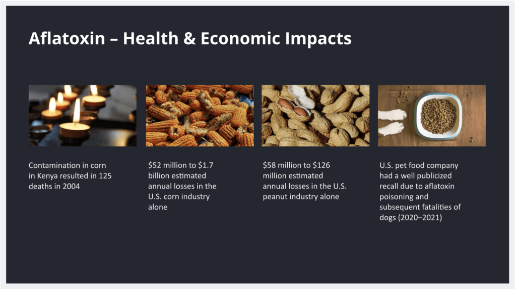 Mycotoxins: Aflatoxin Overview