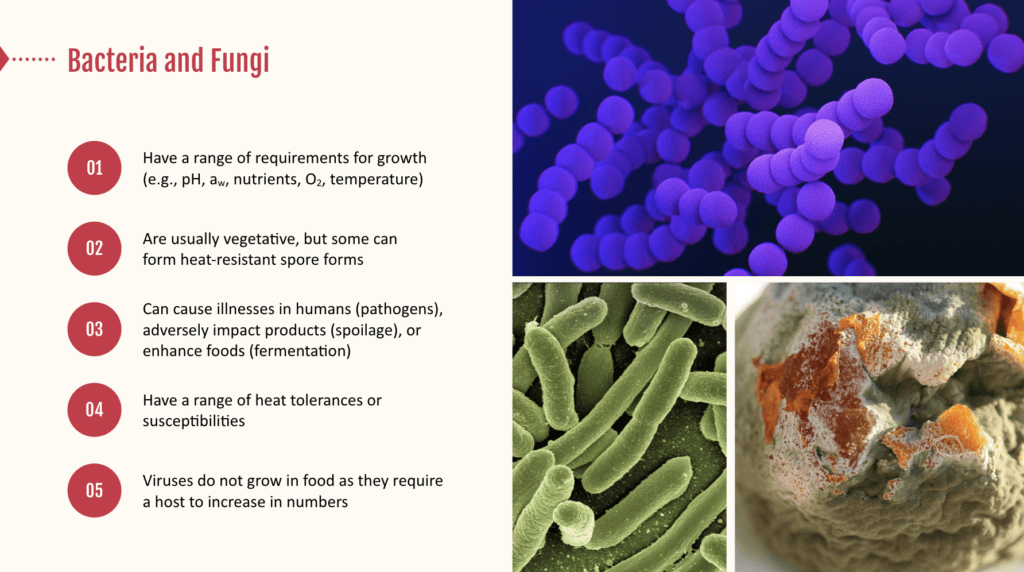 General Thermal Bacteriology Applied to Foods