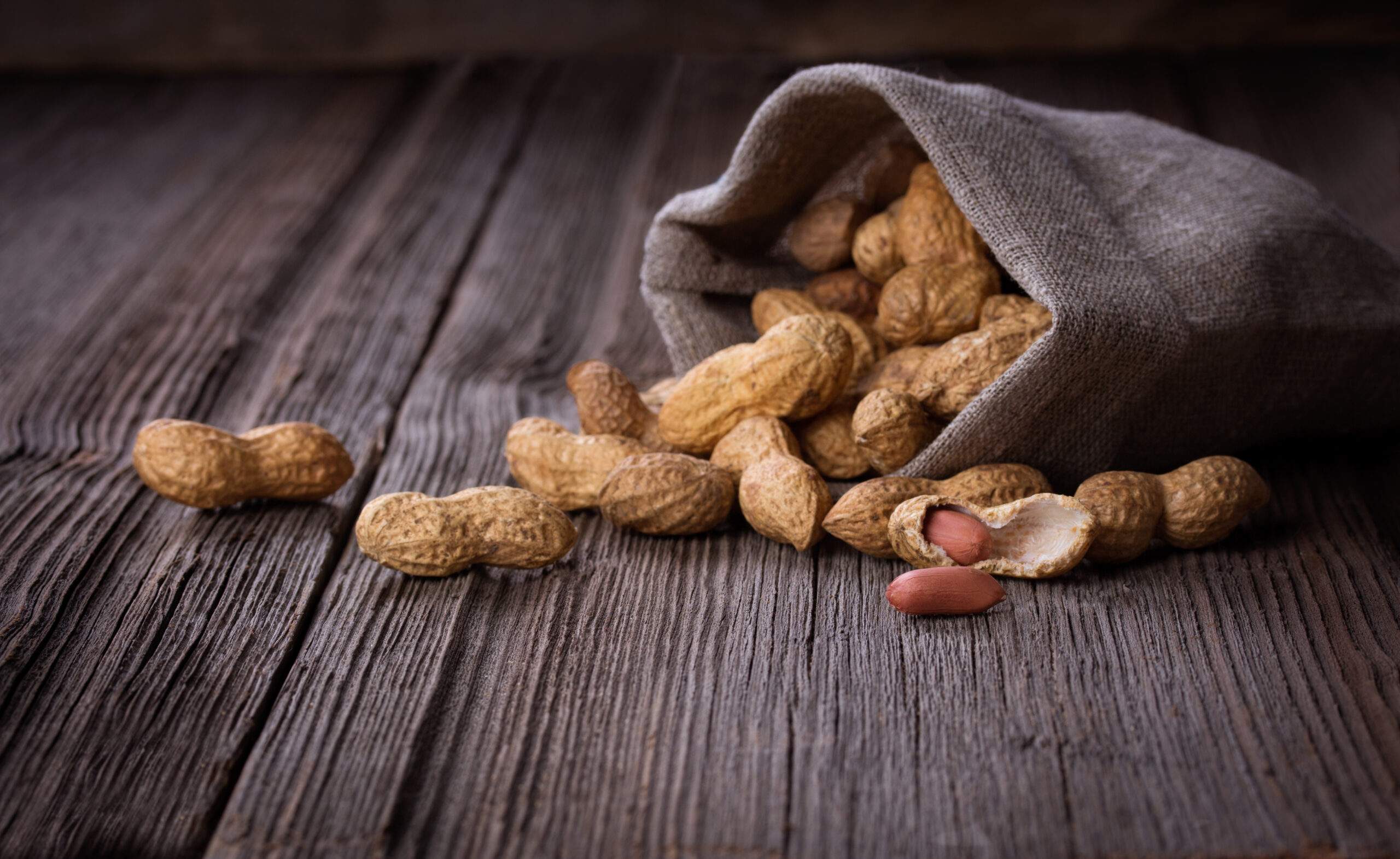 Peanut 101: Ingredient Uniformity (PART I) - IEH Academy