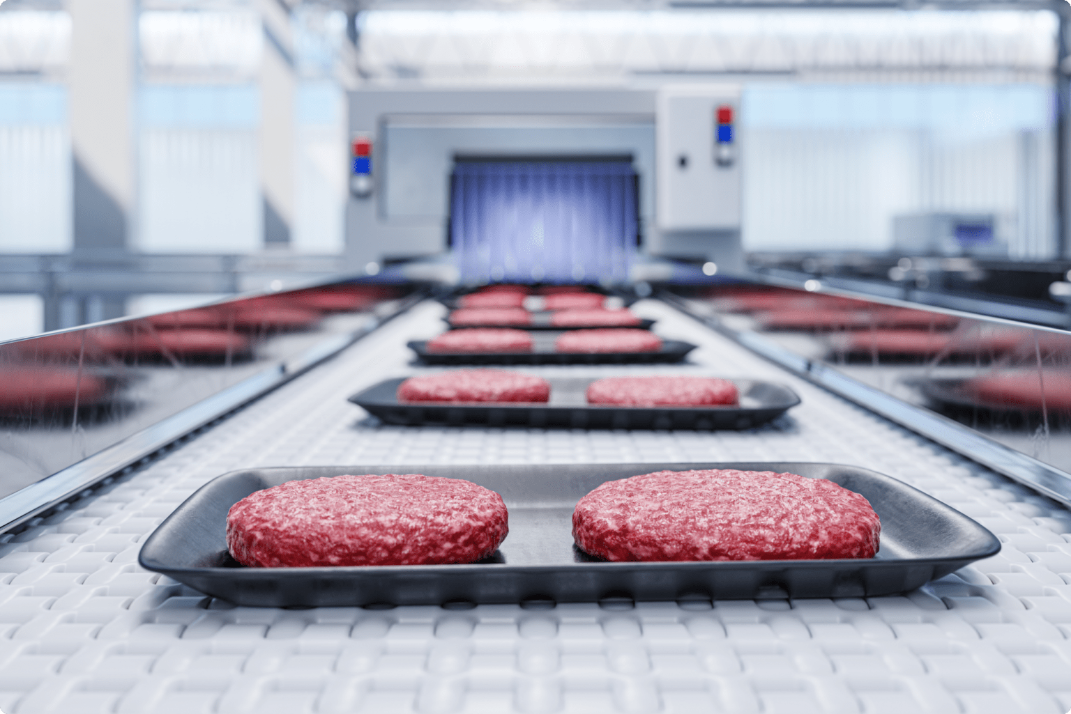 Raw meat on conveyer belt