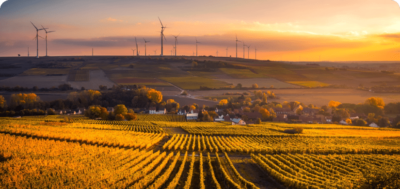 Farm in front of sunrise.