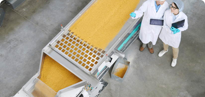 2 Workers overseeing grain production for Mycotoxins Aflatoxin training.