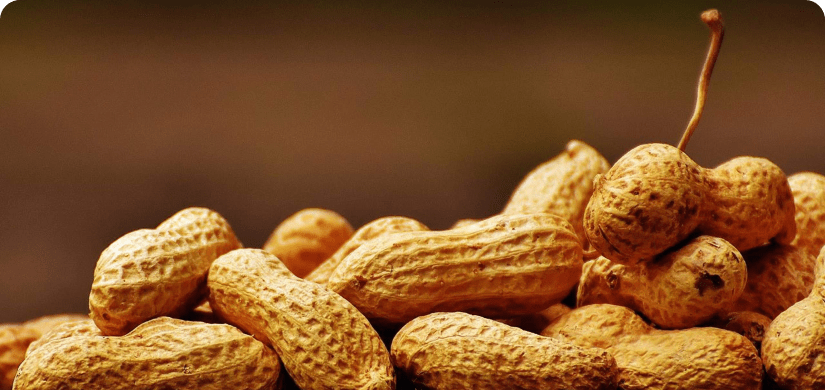 Stack of peanuts.