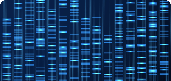 Cracking the Code: Using Whole Genome Sequencing (WGS) to Connect Foodborne Outbreaks