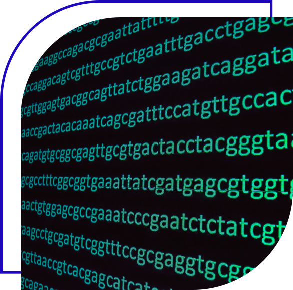 Applications of Whole Genome Sequencing in Food Production