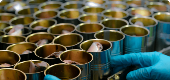 Gloved hands sorting cut fish in tin cans for Heat Penetration Theory and Data Acquisition.