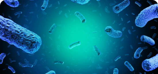 Close up image of listeria.